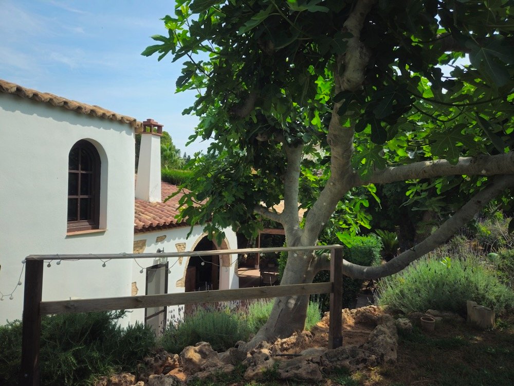 Property 2452 - Image 7